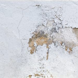 image remontées capillaires