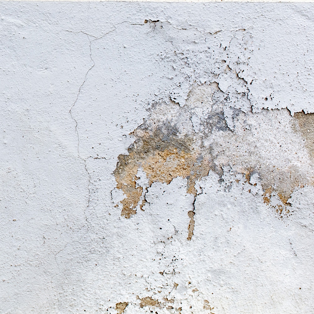 image remontées capillaires